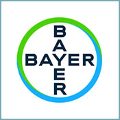 Bayer